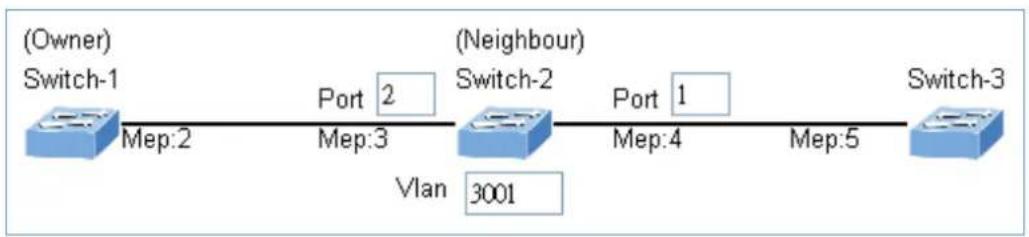 Planet WGS-5225-8UP2SV - Set ERPS Configuration on Switch 2 - 2