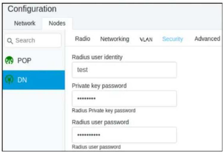 Configuration Network Nodes Search POP DN Radio Networking VLAN Security Advanced Radius user identity test Private key password ****** Radius Private key password Radius user password ****** Radius user password