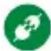 Green Leaf 18-8856BL - ARMADO - 2