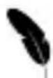 Green Leaf 18-8856BL - IMPORTANTE - 5