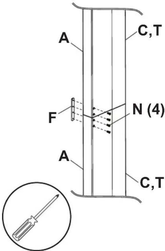 A C,T F N (4) A C,T