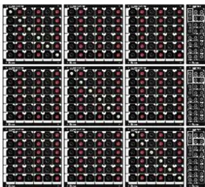 Grid of nine identical panels showing red and black circular patterns with white dots, likely representing a digital display or pattern selection interface.