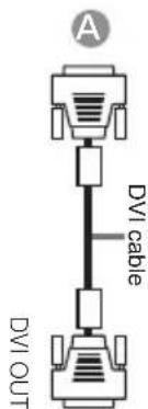 A DVI cable DVI OUT