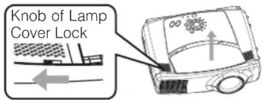 Knob of Lamp Cover Lock