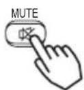 HITACHI CPX870 - Press the MUTE button - 1