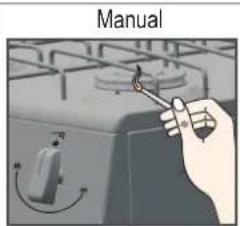 Manual