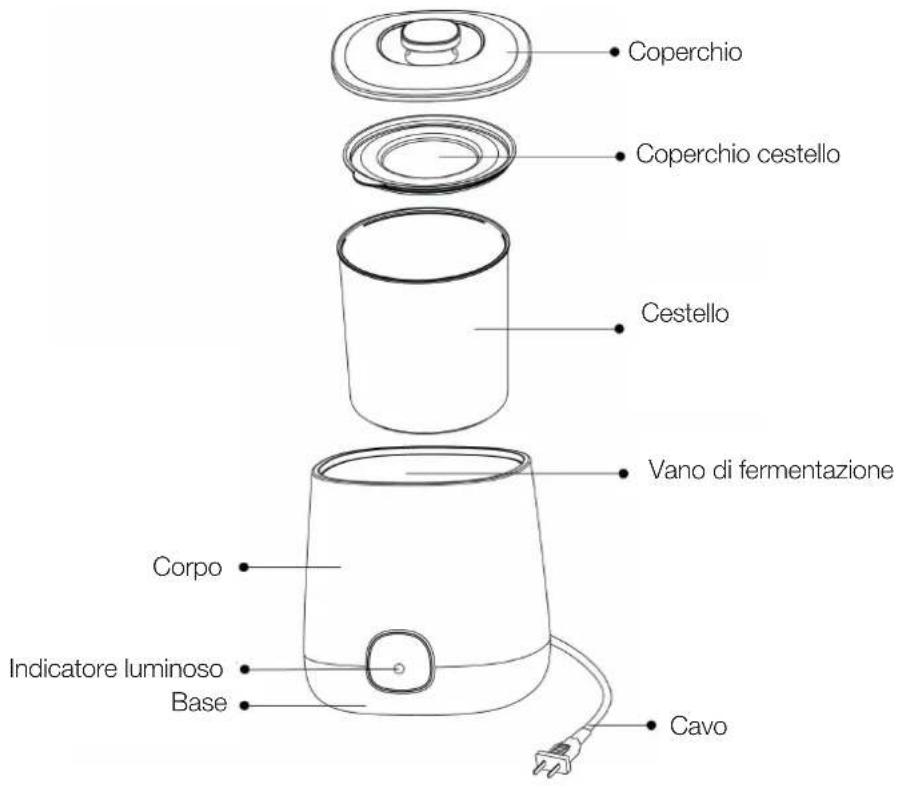 Coperchio Coperchio cestello Cestello Vano di fermentazione Corpo Indicatore luminoso Base Cavo