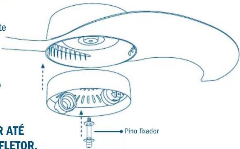 R ATÉ FLETOR. Pino fixador