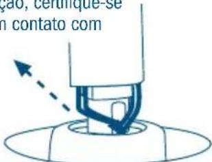 çao, certifique-se n contato com