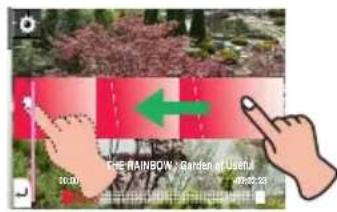 THE RAINBOW - Garden at Useful 30:00 40:00:23