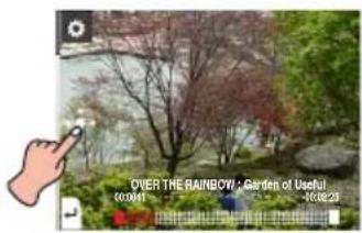 OVER THE RAINBOW : Garden of Useful 01/01/01 -10/02/23