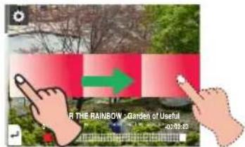 FOR THE RAINBOW Garden of Useful 02/05/19