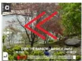 OVER THE RAINBOW: Garden of Useful 06/24 13:23