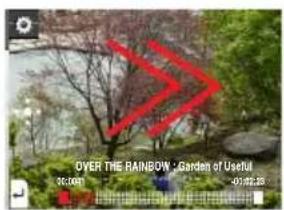 OVER THE RAINDBOW: Garden of Useful 36:000 49:000