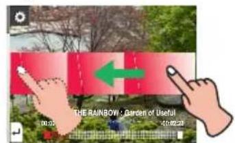 THE RAINBOW : Garden of Useful 10.05 12.02.23