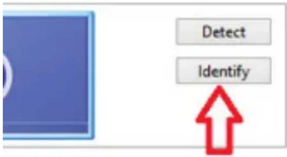 Detect Identify