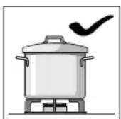 BOSCH PLP6A5B21 - Advertencias de uso - 5