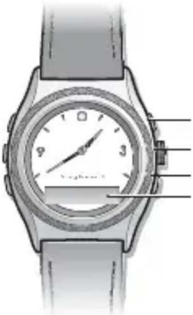 SONY MBW-200 Contemporary Elegance - Armbanduhr im Überblick - 1