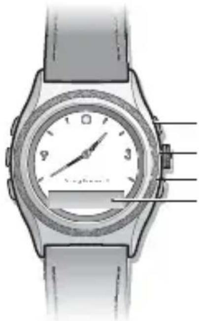 SONY MBW-200 Contemporary Elegance - Panoramica dell'orologio - 1