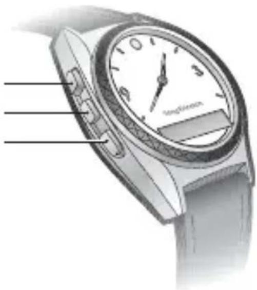 SONY MBW-200 Contemporary Elegance - Armbanduhr im Überblick - 2