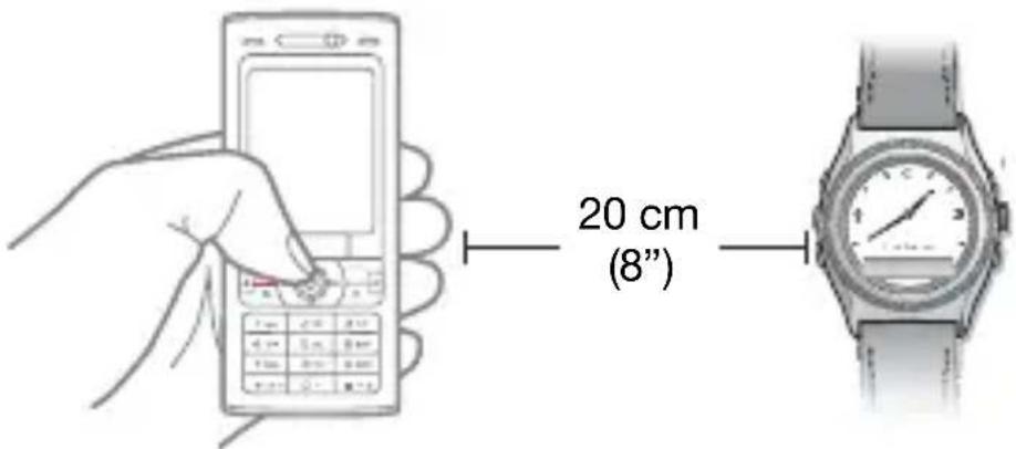 20 cm (8")
