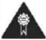 YEZZ Andy 3G 2.8 - Para Su Seguridad - 16