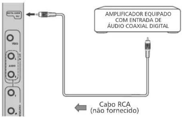 AMPLIFICADOR EQUIPADO COM ENTRADA DE ÁUDIO COAXIAL DIGITAL Cabo RCA (não fornecido)