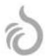Wanke Innovate Black 05 BC - WANKE S.A. - 2