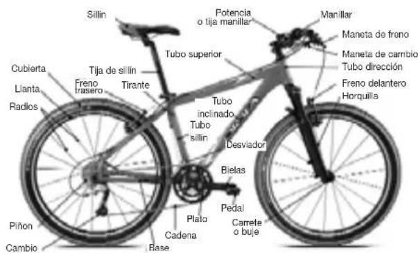 Sillin Potencia o tija manilla Manilla Cubierta Llanta Radios Tija de sillin Freno frasero Tirante Tubo superior Tubo inclinado Tubo sillin Desviador Bielas Pilón Cambio Base Plato Cadena Pedal Carrete o buje Freno delantero Horquilla
