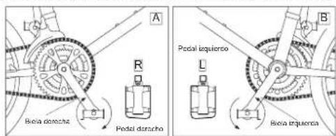 Biová dorachta Pedal dorachta Pedal tequiero Biová tequiera
