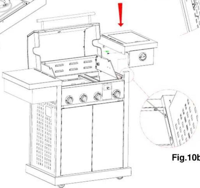 Fig.10b
