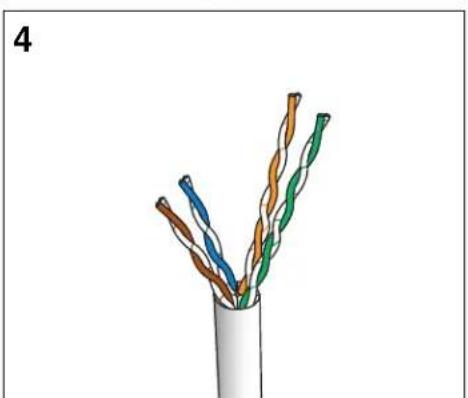Cross-section diagram of a multi-core cable with twisted insulation (no text or symbols)