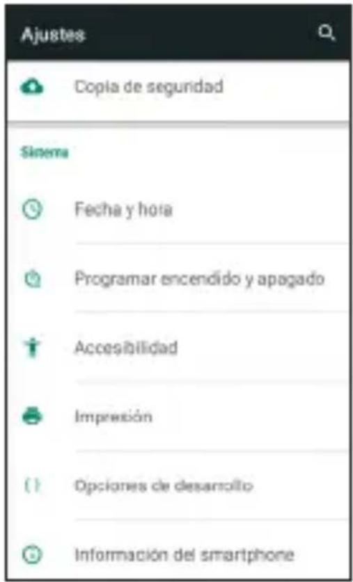 Ajustes Copia de seguridad Sistema Fecha y hora Programar encendido y apagado Accesibilidad Impresión Opciones de desarrollo Información del smartphone