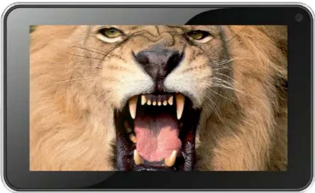 NEVIR NVR-TAB7 DGBT S2 - nevir® - 1