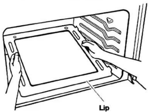 Lip
