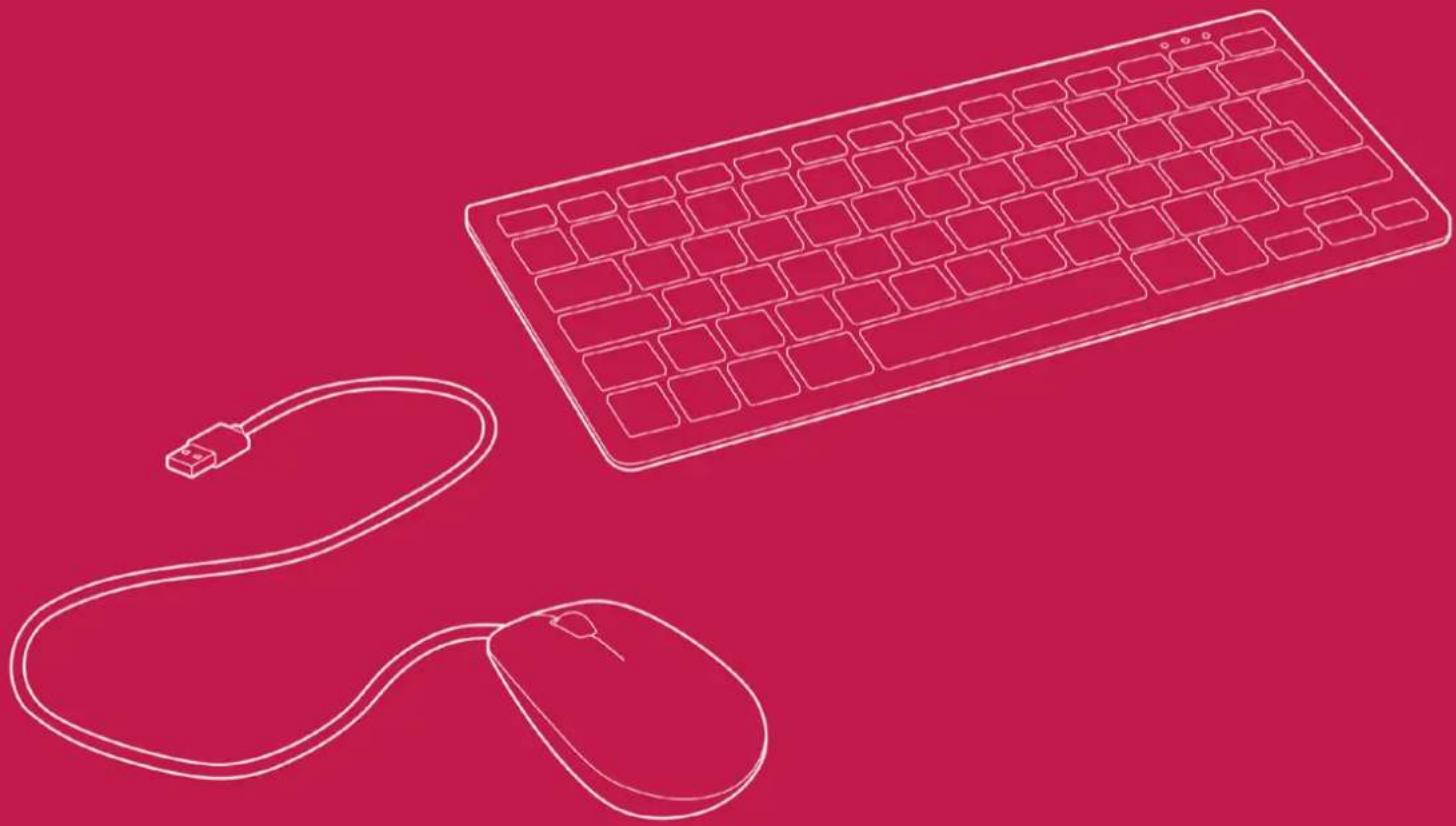 Line drawing of a computer keyboard and mouse on a solid background (no text or symbols)