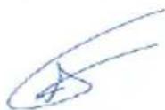 Sunstech NSX100BTDVD - Directiva(1999/5/EC)-R&TTE Directiva (2011/65/EU) - RoHS - 1