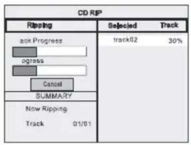 CD RIP Ripping Selected Track ack Progress Hydrogress Cancel SUMMARY Now Ripping Track 01/01