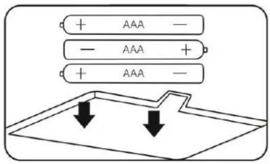 + AAA - - AAA + + AAA -