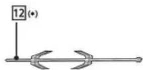12 (*)