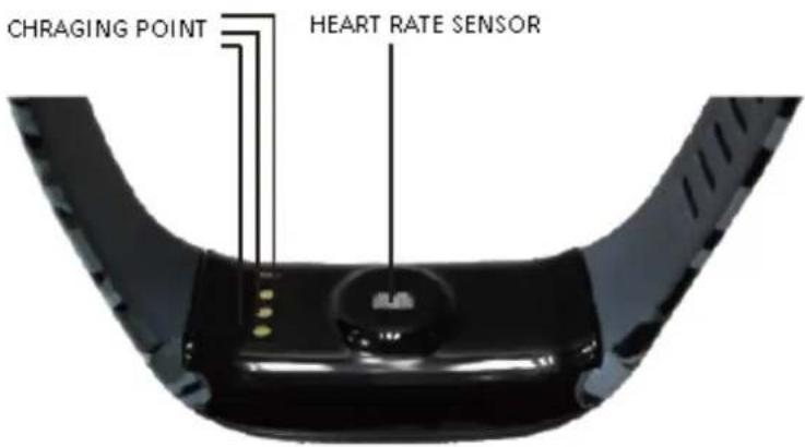 CHRAGING POINT HEART RATE SENSOR