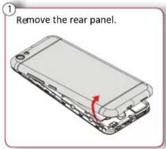 Remove the rear panel.