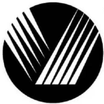 VOX MC9005 - ● SOLUZIONE DEI PROBLEMI PIÙ IMPORTANTI - 1