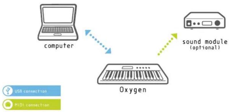 PINNACLE Oxygen 49 - > Introduction to MIDI Programming Functions - 1