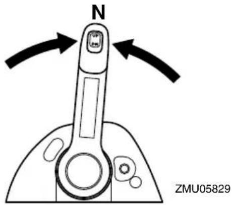 N ZMU05829
