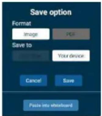 Save option Format Image PDF Save to Your device Cancel Save Paste into unshaped