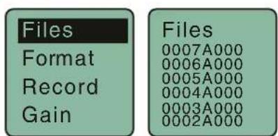 Files Format Record Gain Files 0007A000 0006A000 0005A000 0004A000 0003A000 0002A000
