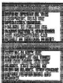 Scanned text of a formal document with dense columns of Chinese characters and possible paragraphs or table headers.