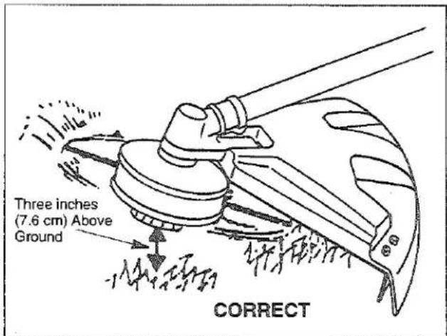 Three inches (7.6 cm) Above Ground CORRECT