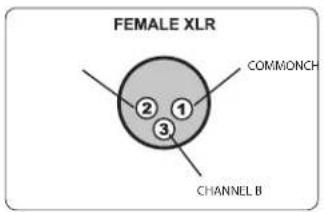 FEMALE XLR COMMONCH CHANNEL B